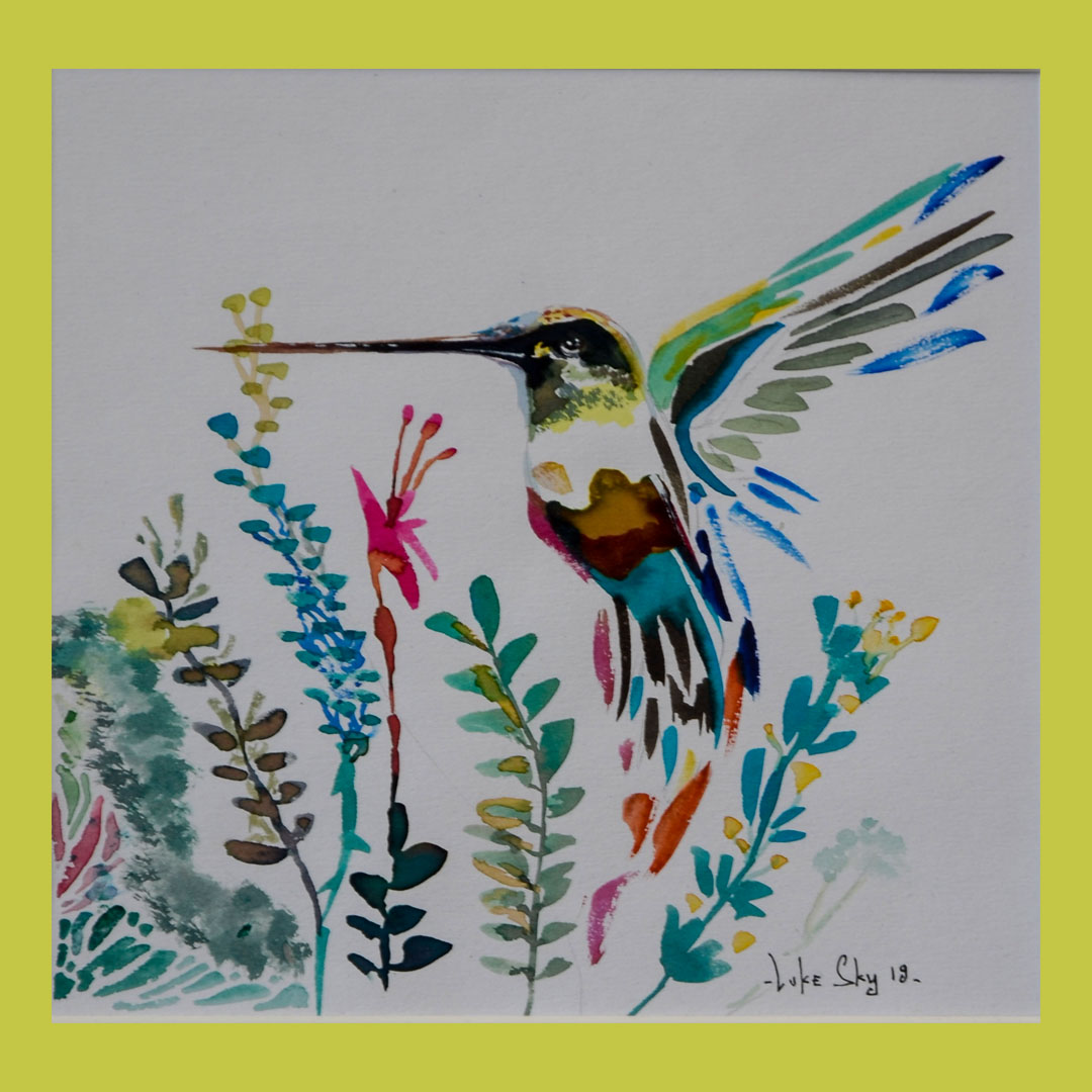 Luke Sky Watercolour hummingbird